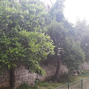  Apartment Kala Croatia